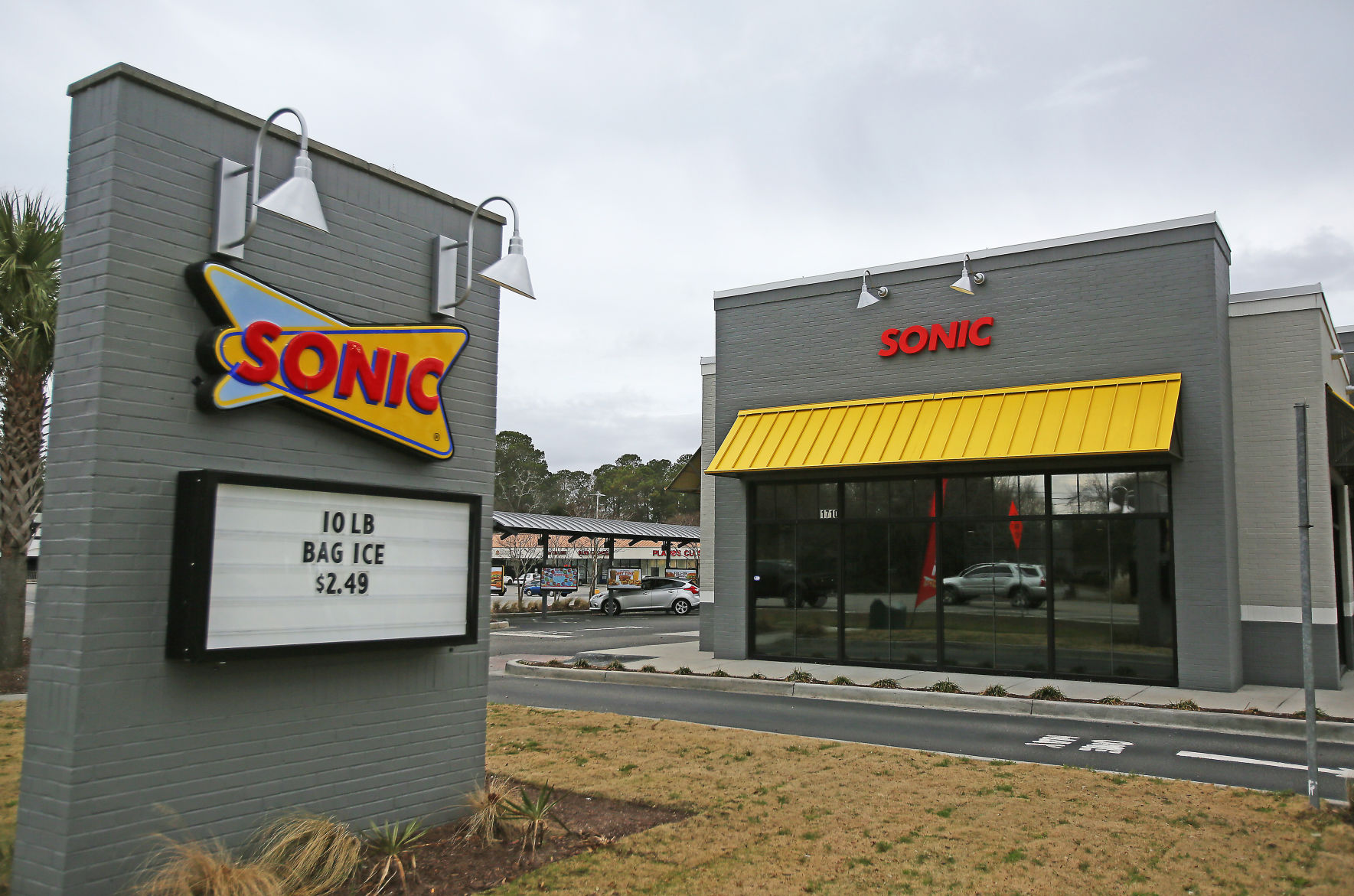 Sonic (copy) (copy) (copy)